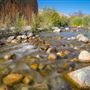 Whitewater Preserve