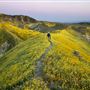 Carrizo Plain National Monument