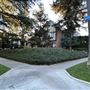 Windsor Square Neighborhood