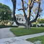 Windsor Square Neighborhood