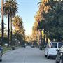 Hancock Park Neighborhood
