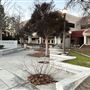 Fresno City College (FCC)