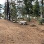 Griffith Park Redwoods - Cedar Grove