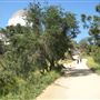 Griffith Observatory - Griffith Park