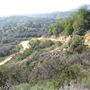 Griffith Observatory - Griffith Park