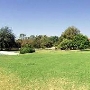 Los Angeles County Arboretum