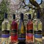 De La Montanya Winery