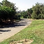 Los Angeles County Arboretum
