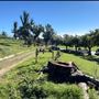 Will Rogers State Historic Park (SHP) & Polo Field