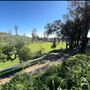 Will Rogers State Historic Park (SHP) & Polo Field