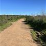 Will Rogers State Historic Park (SHP) & Polo Field