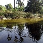 Los Angeles County Arboretum