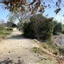 Peck Road Water Conservation Park