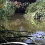Los Angeles County Arboretum