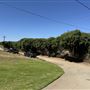 DAM Ranch