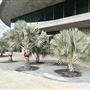 Los Angeles County Museum of Art (LACMA)