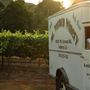 Mt. Vernon Winery