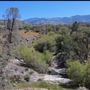 Bufford Ranch, managed by Golden Ranch Estates