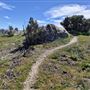 39459 Opalocka Road Suite 1648