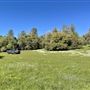 Aukum Ranch