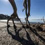 Morro Bay State Park (SP)