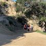Boy Scout Trail - Griffith Park