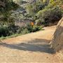 Boy Scout Trail - Griffith Park