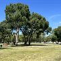 Santa Fe Dam Recreational Area