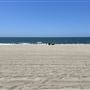 Playa Del Rey Beach @ North end of Dockweiler State Beach
