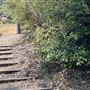 Peter Strauss Ranch - National Park Service (NPS)