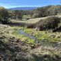 Solace Ranch & Vineyard