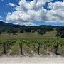 Santa Margarita Ranch