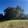 Halter Ranch