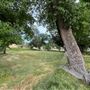 Solace Ranch & Vineyard