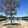 Apollo Community Regional Park