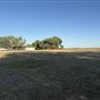 11071 Walmort Rd