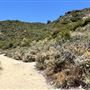 Deukmejian Wilderness Park