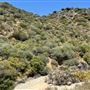 Deukmejian Wilderness Park
