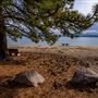 D.L. Bliss State Park (SP)