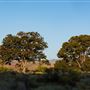 Hungry Valley State Vehicle Recreation Area (SVRA)