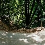 Forest of Nisene Marks State Park (SP), The