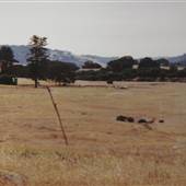Bacchi Valley Industries Airport