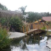 Paradise Ranch Pet Resort