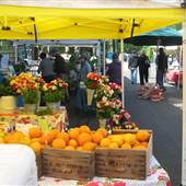 Auburn Farmers Market