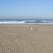 Ocean Beach