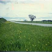 Peach Tree Road