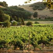 Mt. Vernon Winery