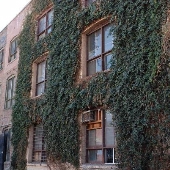 440 Seaton Street and Seventh / Place - Commune Events