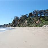 Paradise Cove Beach, Pier, & Cafe - Private