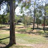 Bogart Park